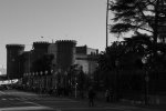_DSC7565.jpg