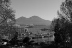 _DSC7571.jpg
