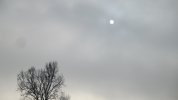 IMG_1497.JPG