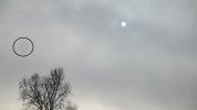 IMG_1497.jpg