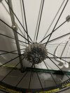 IMG_2425.jpeg