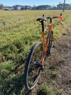 IMG_4982.jpeg