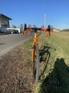 IMG_4981.jpeg