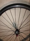IMG_1116.jpeg