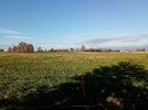 20231119_144956.jpg