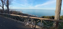 IMG_20231222_150400.jpg