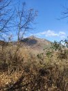 IMG_20231230_114925.jpg
