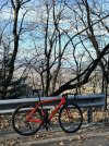 IMG_1639.jpeg