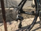 IMG_5381.jpeg
