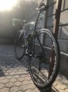 IMG_5387.jpeg