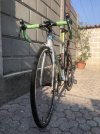 IMG_5388.jpeg