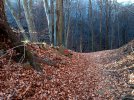 20240104_115907.jpg 20240104_115907.jpg