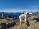 20240104_140504.jpg 20240104_140504.jpg