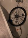 IMG_3489.jpeg