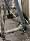 IMG_1972.jpeg IMG_1972.jpeg