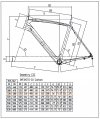 Bianchi_geometrie_C2C_INFINITO-CV-Carbon.jpg