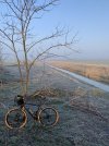 IMG_5626.jpeg