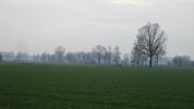 IMG_1625.JPG