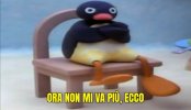 IMG_3620.jpeg