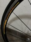 IMG_3336.jpeg