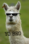 original.png