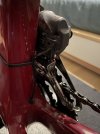 IMG_8073.jpeg