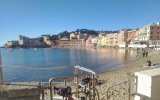 IMG_20240128_114409-01.jpeg