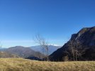 IMG_20240128_145941.jpg
