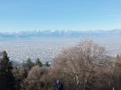 IMG_20240203_160442.jpg