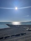 IMG_2659.jpeg
