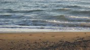 IMG_1702.JPG