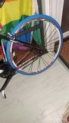 IMG_20240215_191751.jpg