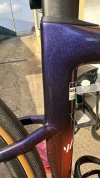 IMG_4822.jpeg