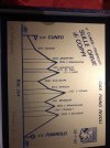 IMG_3730.jpeg