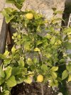 IMG_1842.jpeg