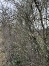 IMG_1861.jpeg