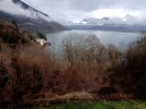 IMG_20240224_115202629.jpg
