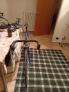 IMG20240203132304.jpg