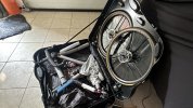 IMG_4842.jpeg