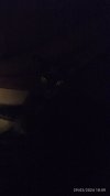 IMG_20240229_185901.jpg
