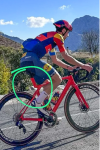 Nuova Emonda 2024.png