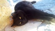 IMG-20170802-WA0002.jpg IMG-20170802-WA0002.jpg