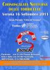 Cronoscalata_Notturna_16_settembre_2011.jpg