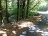 25062011274.jpg