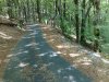 25062011275.jpg