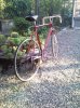foto3.jpg