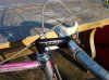 DSC08540 resize.jpg