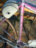 DSC08542 resize.jpg
