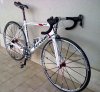 cervelo (3).jpg