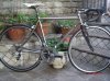 litespeed 001.jpg litespeed 001.jpg